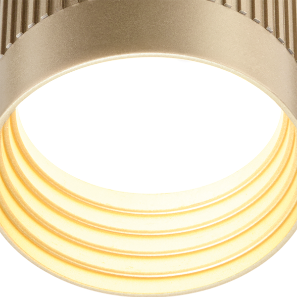 Точечный светильник Wolta WSL-GU10/19SG