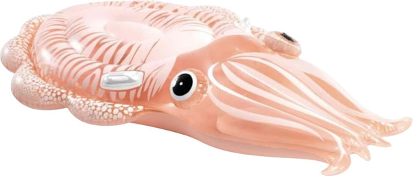 Надувная игрушка для плавания Intex 58731EU - фото