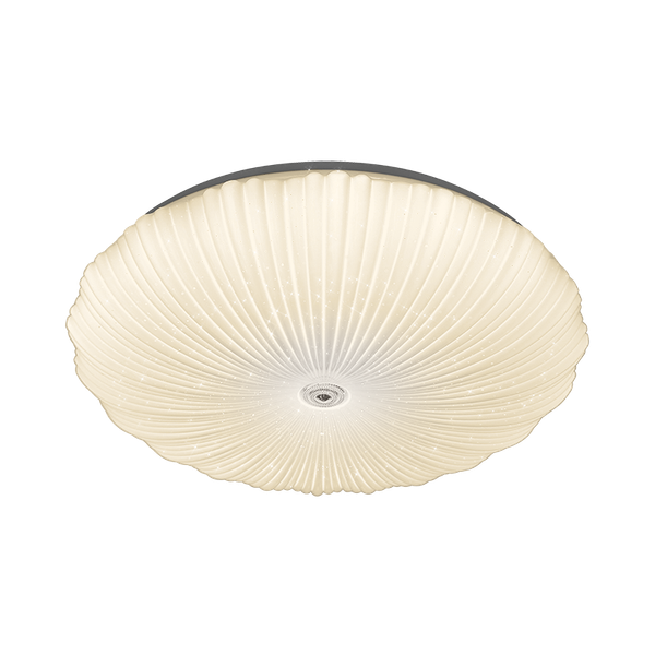 Потолочный светильник LuminArte CLL54