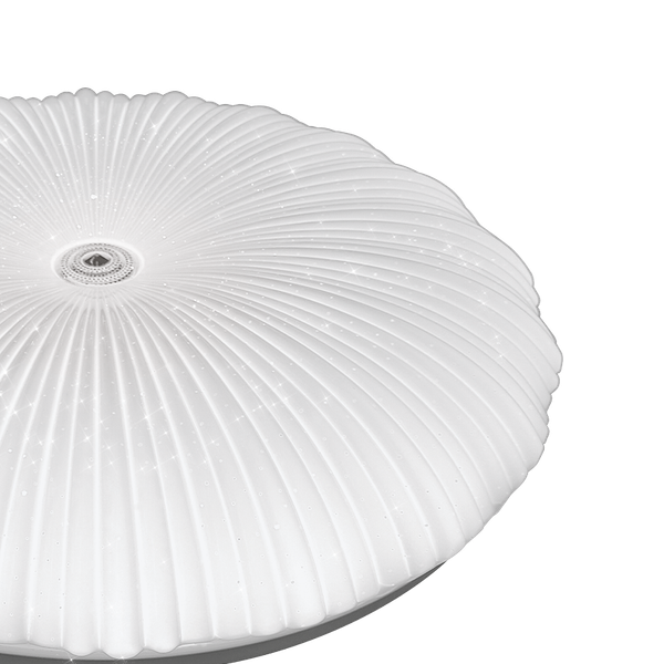 Потолочный светильник LuminArte CLL54