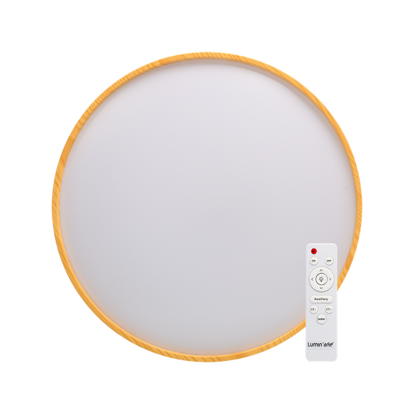 Потолочный светильник LuminArte CLL46