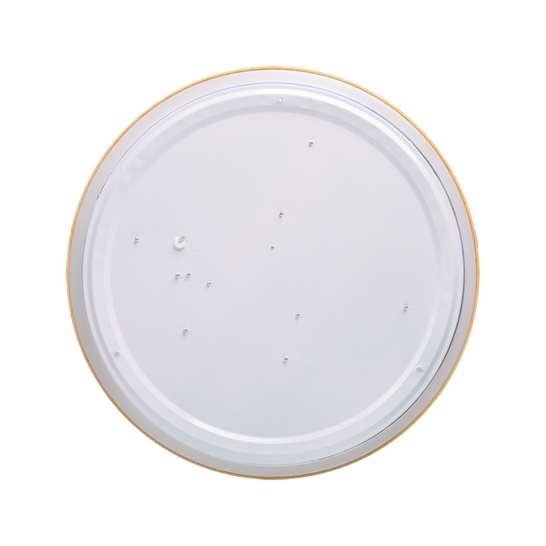 Потолочный светильник LuminArte CLL46