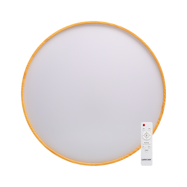 Потолочный светильник LuminArte CLL47