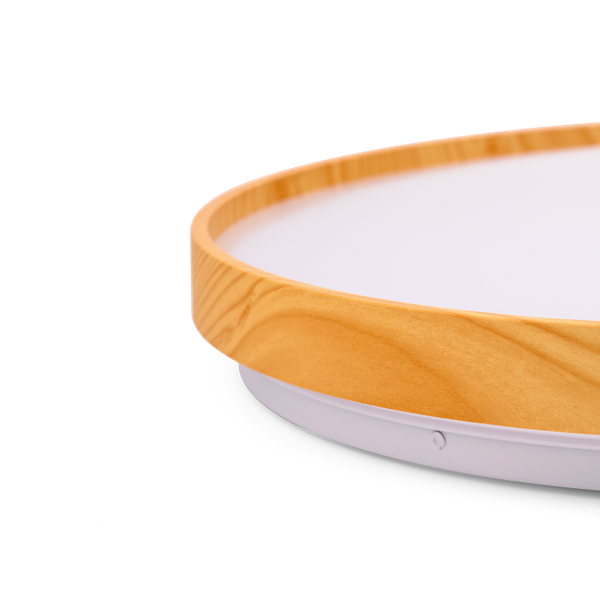 Потолочный светильник LuminArte CLL47