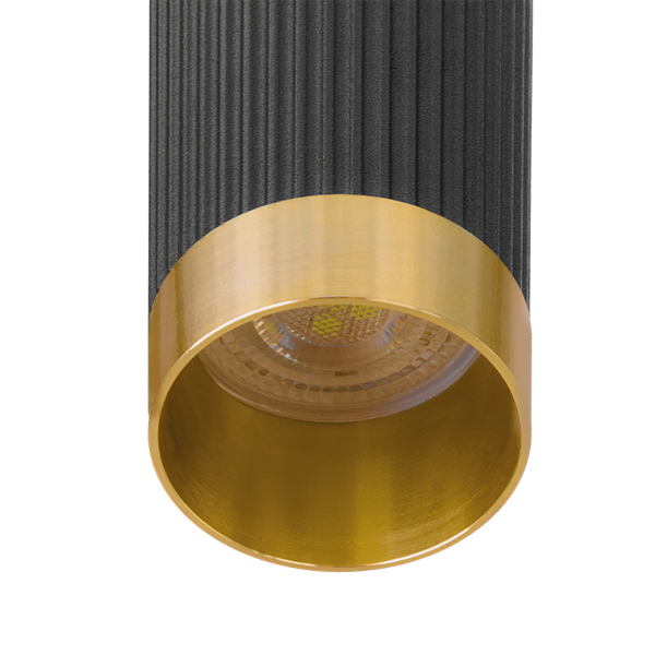 Потолочный светильник Wolta WSL-MR11/P16BG