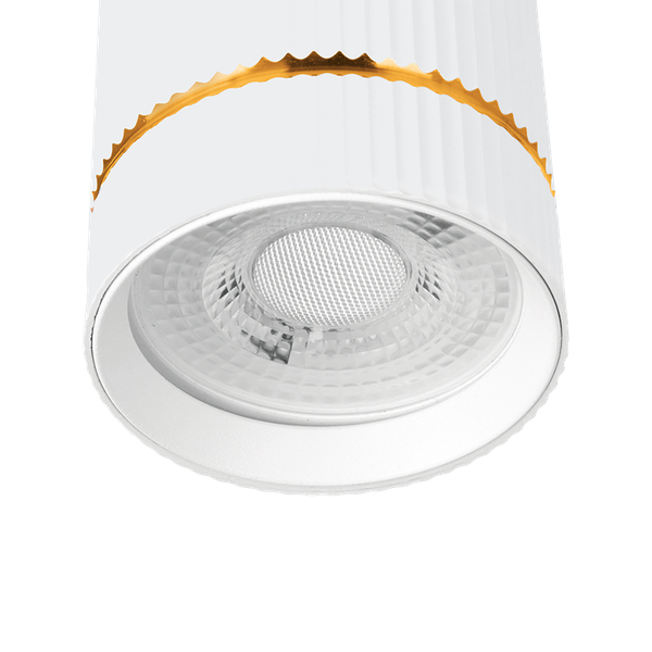 Потолочный светильник Wolta WSL-GU10/P18WG