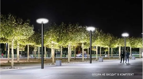 Светильник уличный Wolta WGLY-70W/01