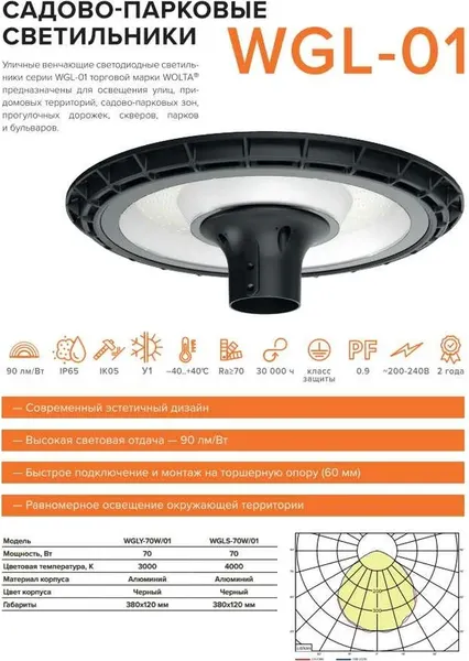 Светильник уличный Wolta WGLY-70W/01