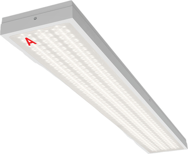 Панель светодиодная Wolta ДПО13-54-142-4К - фото