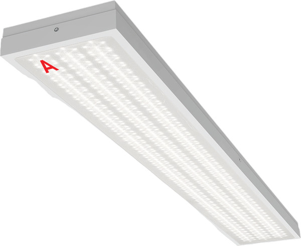 Панель светодиодная Wolta ДПО13-54-142-5К - фото