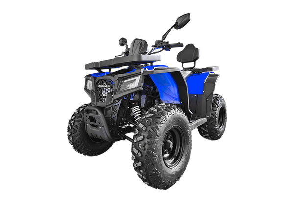 Квадроцикл Progasi RaceJumper 200 - фото