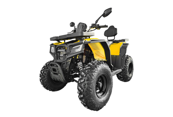 Квадроцикл Progasi RaceJumper 200 - фото