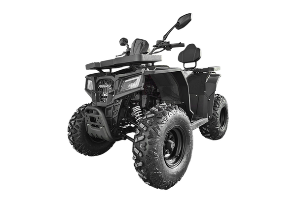 Квадроцикл Progasi RaceJumper 200 SE - фото