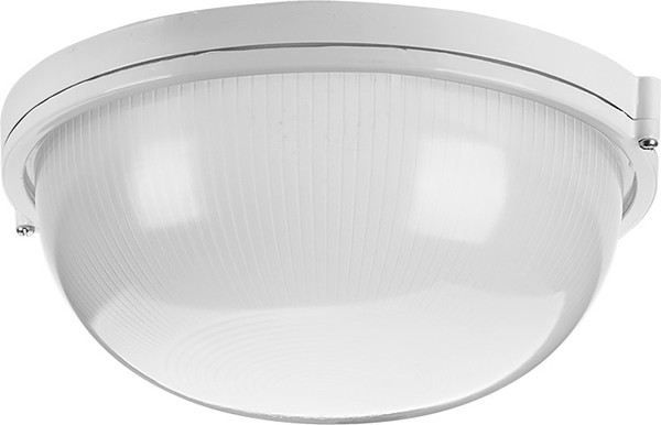 Светильник ЖКХ Wolta ДПБ03-100-001 - фото