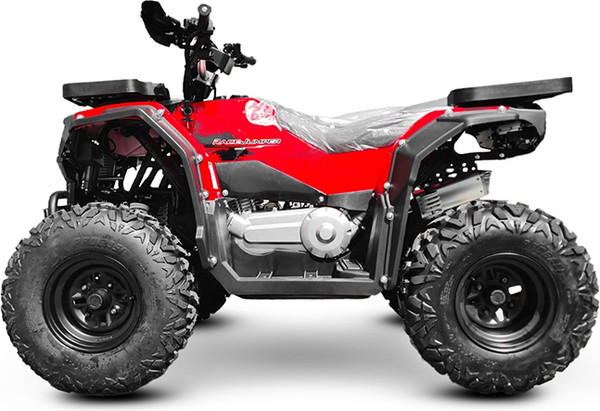 Квадроцикл Progasi RaceJumper 200 SE