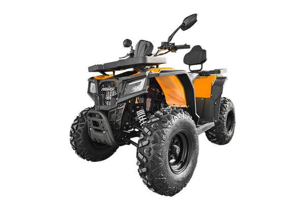 Квадроцикл Progasi RaceJumper 200 SE - фото