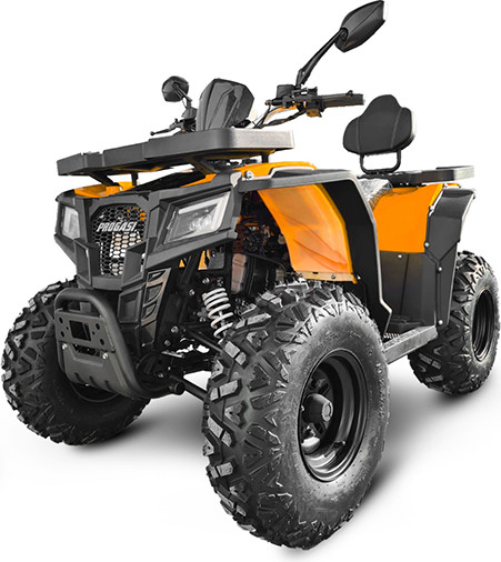 Квадроцикл Progasi RaceJumper 200 SE