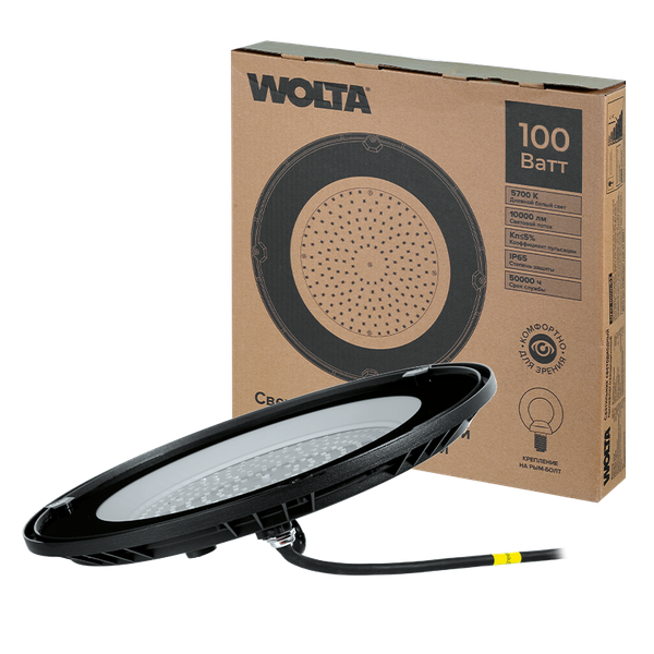 Светильник ЖКХ Wolta UFO-100W/02