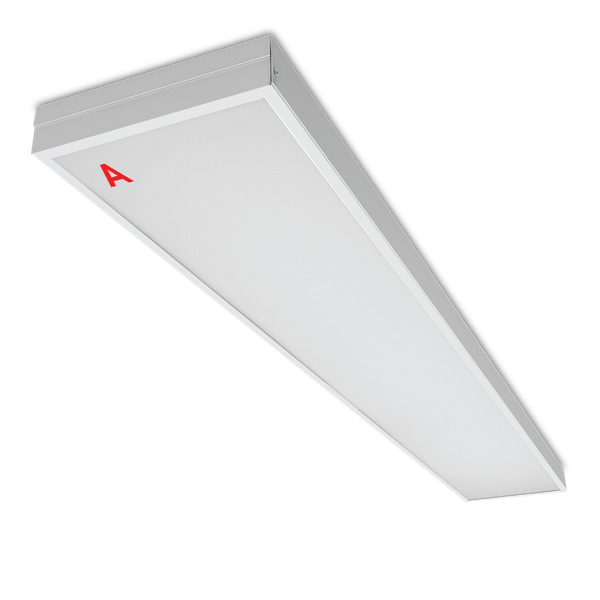 Панель светодиодная Wolta ДПО11-36-141-6К