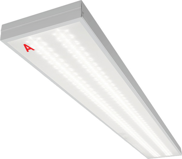 Панель светодиодная Wolta ДПО11-36-142-5К - фото