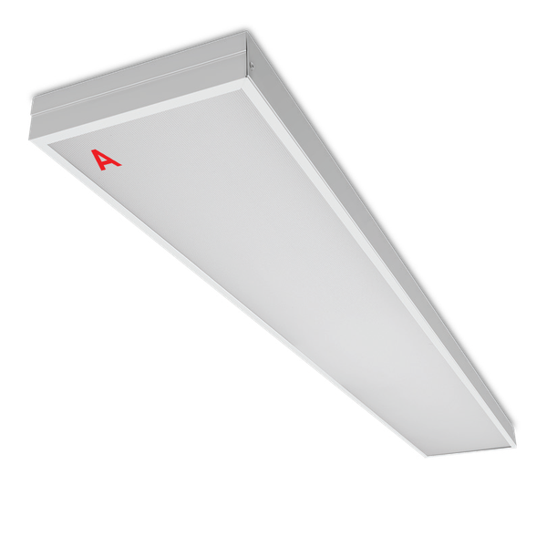 Панель светодиодная Wolta ДПО11-36-142-5К