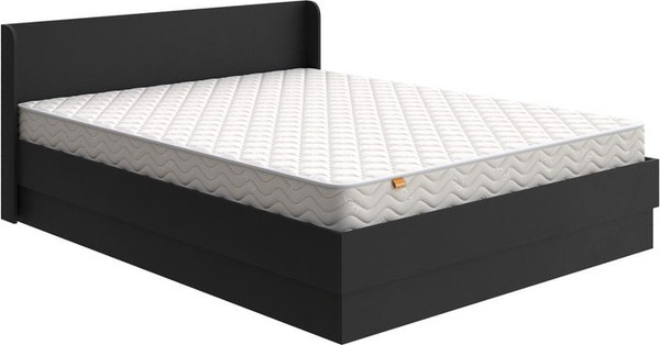 Двуспальная кровать Proson Practica с ПМ 160x200 - фото