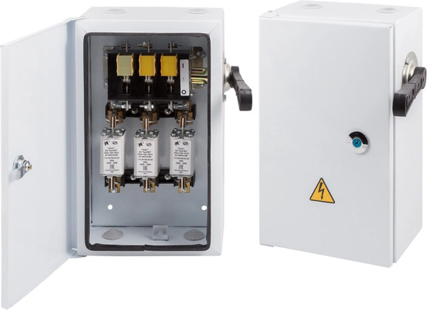 Ящик силовой Элект ЯРП 100А IP54 c ПН-2 (с)