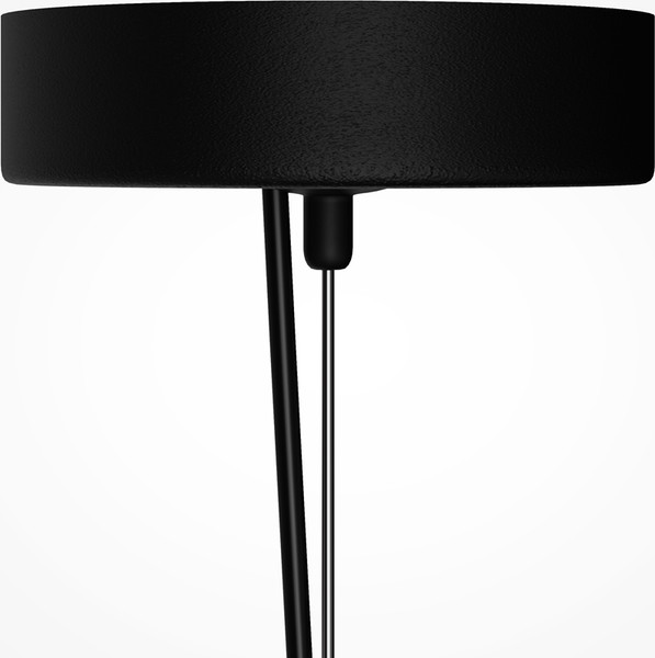 Потолочный светильник Maytoni Basic Texture MOD461PL-L5BK