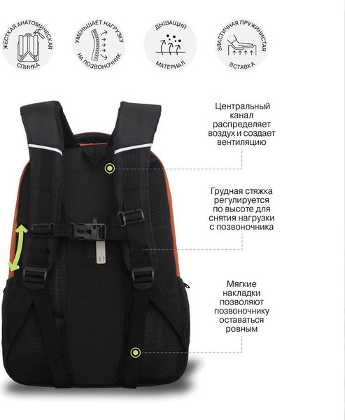 Школьный рюкзак Grizzly RU-630-2