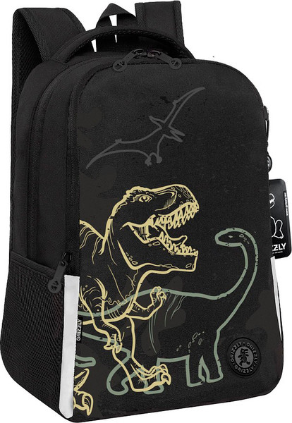 Школьный рюкзак Grizzly RB-651-4 - фото