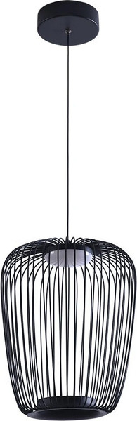 Потолочный светильник Arte Lamp A3528SP-12BK - фото