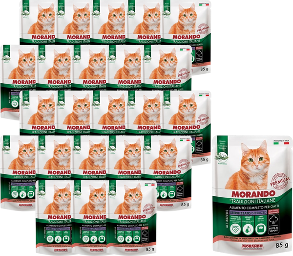 Влажный корм для кошек Morando Tradizioni It с лососем и тунцом, кусочки в желе - фото