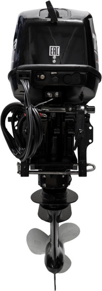 Мотор лодочный Toyama T40FWS