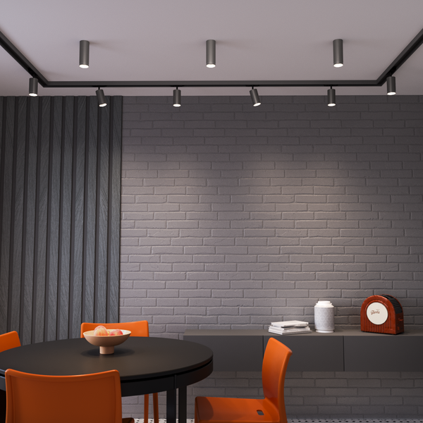 Точечный светильник Wolta WSL-GU10/19G