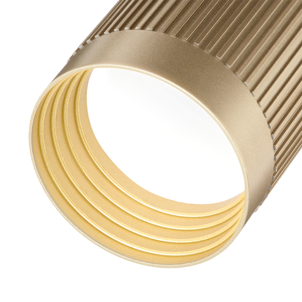 Потолочный светильник Wolta WSL-GU10/P19SG