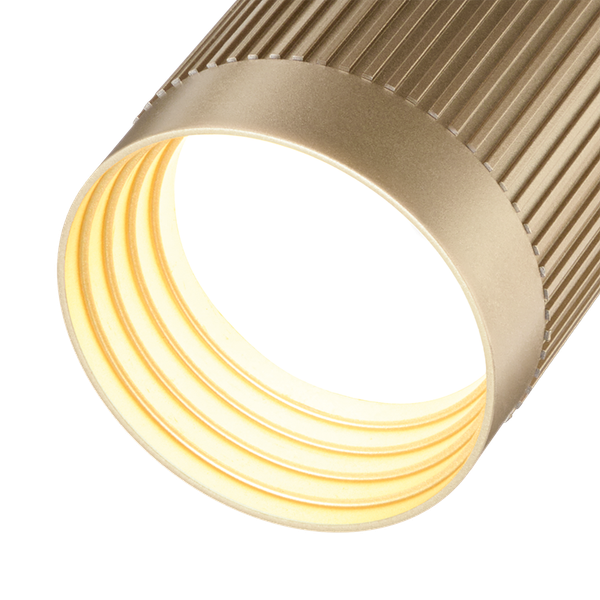 Потолочный светильник Wolta WSL-GU10/P19SG