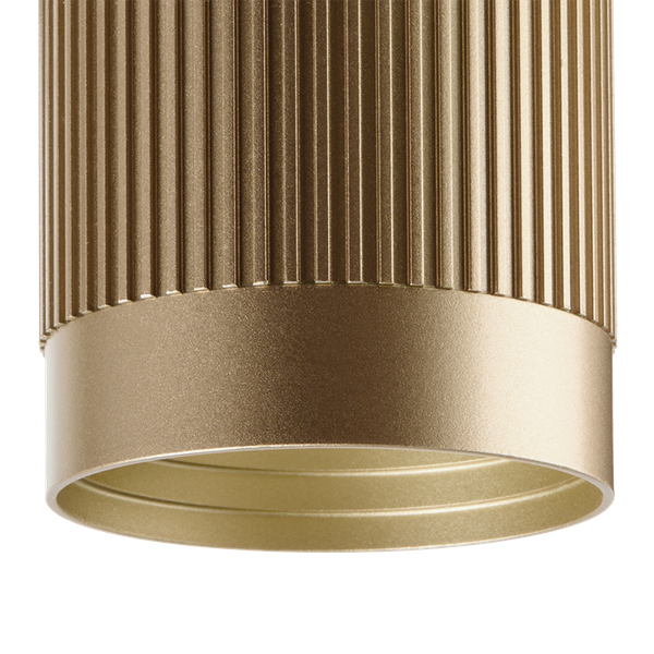 Потолочный светильник Wolta WSL-GU10/P19SG