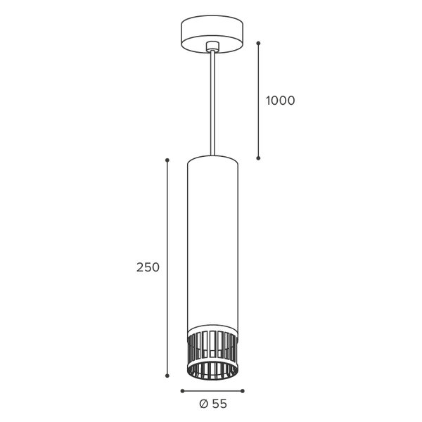 Потолочный светильник Wolta WSL-GU10/P19B