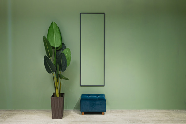 Зеркало Silver Mirrors Basis 50x150 / LED-00003079