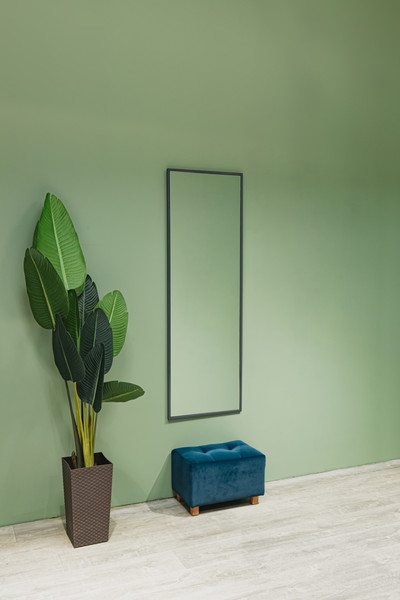 Зеркало Silver Mirrors Basis 50x150 / LED-00003079