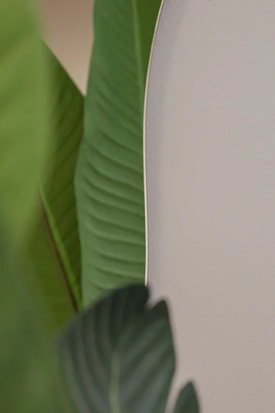 Зеркало Silver Mirrors Молли 60x80 / ФР-00002543