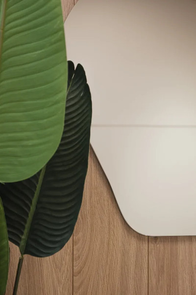 Зеркало Silver Mirrors Молли 80x100 / ФР-00002542