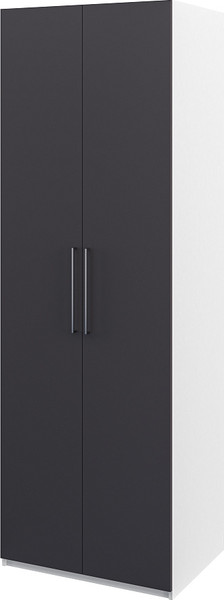 Шкаф ELVA Брис NEM02HS-2D-800/580/2400 (06) - фото