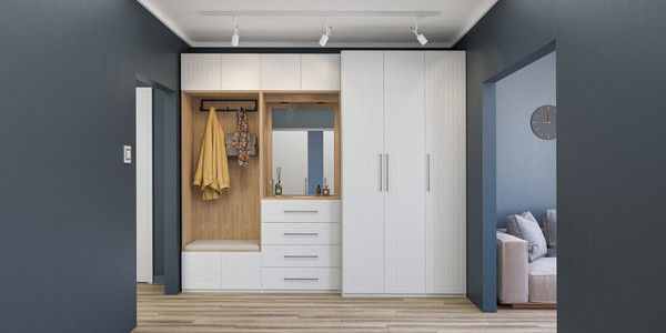 Шкаф ELVA Брис NEM02HS-2D-800/580/2400 (11)