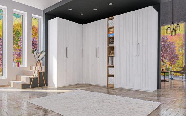 Шкаф ELVA Брис NEM02HP-2D2S-800/580/2400 (11)