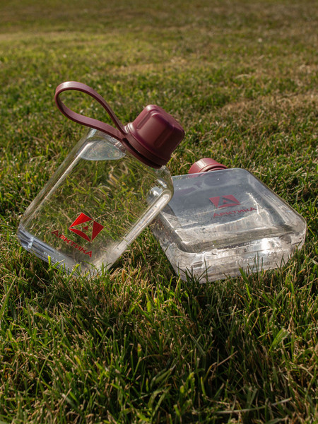 Бутылка для воды Арктика 727-240-BERR