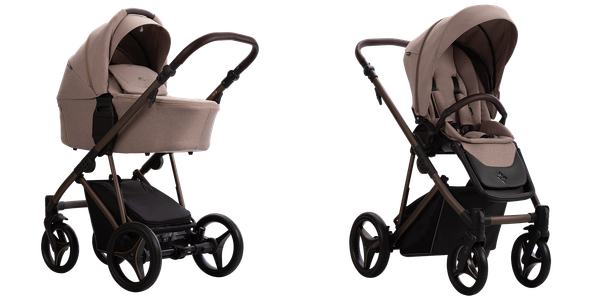 Детская универсальная коляска Bebetto Pelpasso 2в1