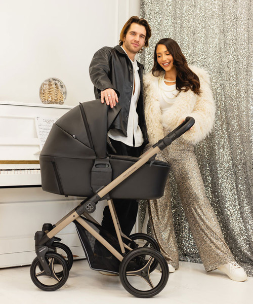 Детская универсальная коляска Bebetto Pelpasso 2в1 Pro