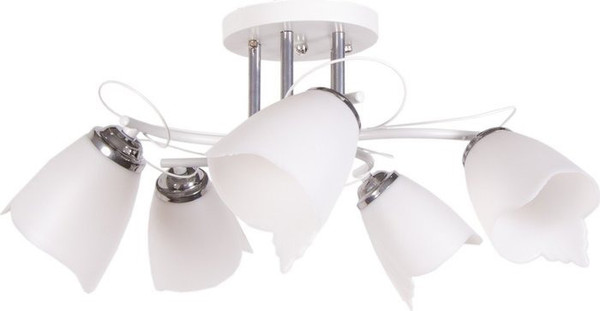 Потолочный светильник Lumix 1009/5 - фото