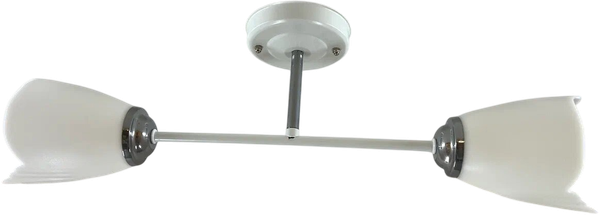 Потолочный светильник Lumix 1010/2 - фото